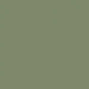 RW06